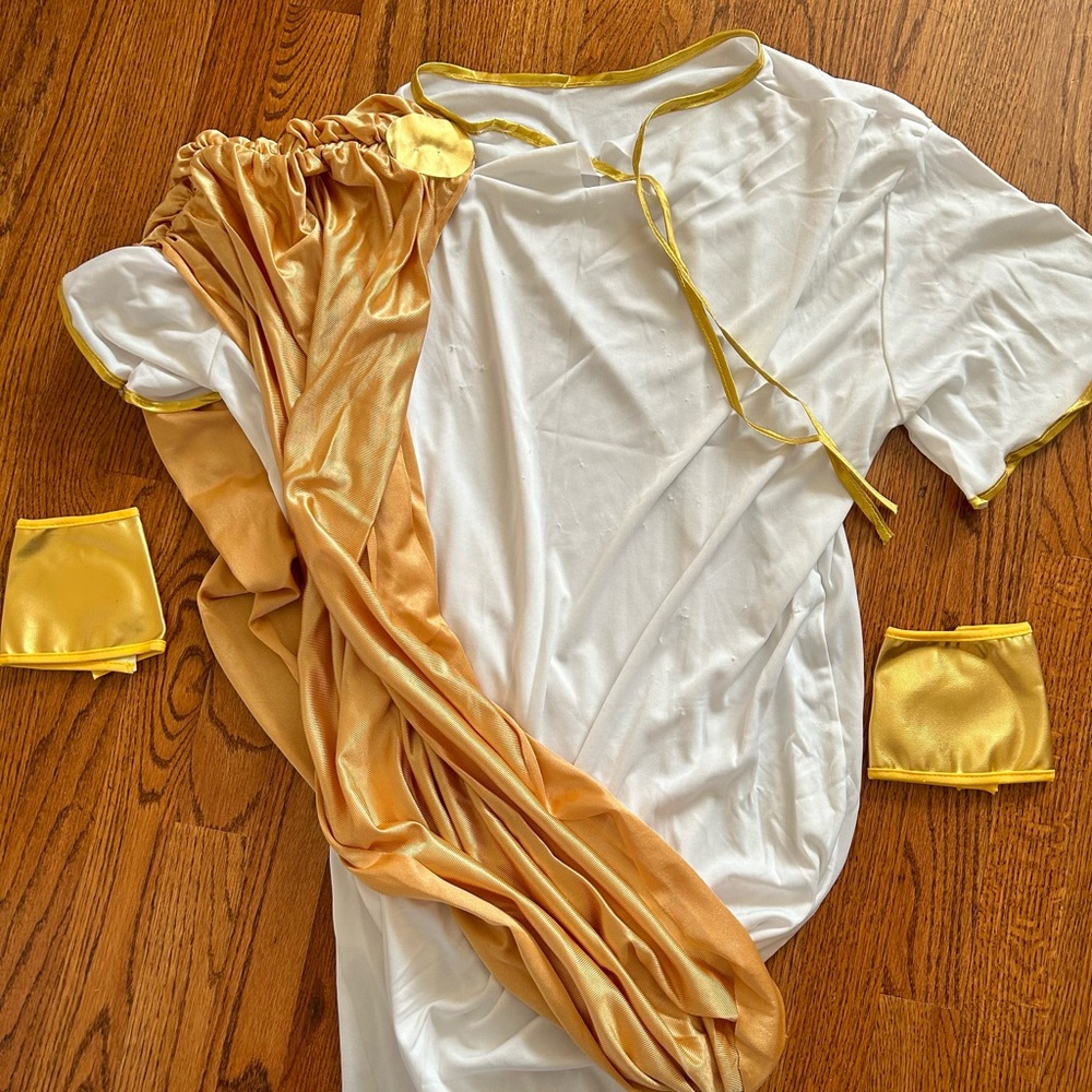 Men’s Caesar Costume - image 5